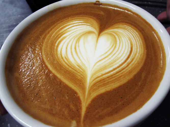 beaver-creek-coffee-farm_beaver creek 1.png